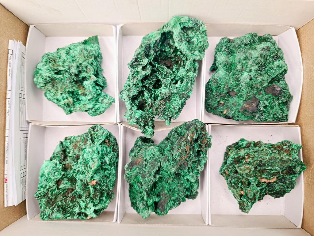 Natural Silky Malachite Specimens x 6 From Kasompe, Congo