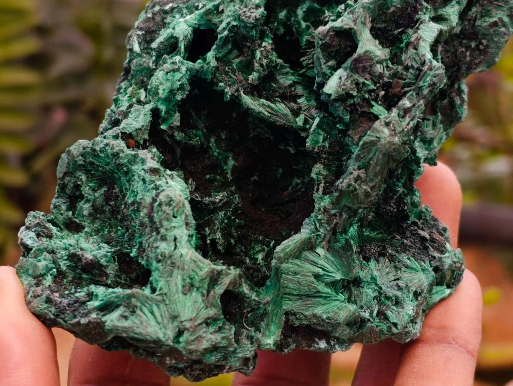 Natural Silky Malachite Specimens x 6 From Kasompe, Congo