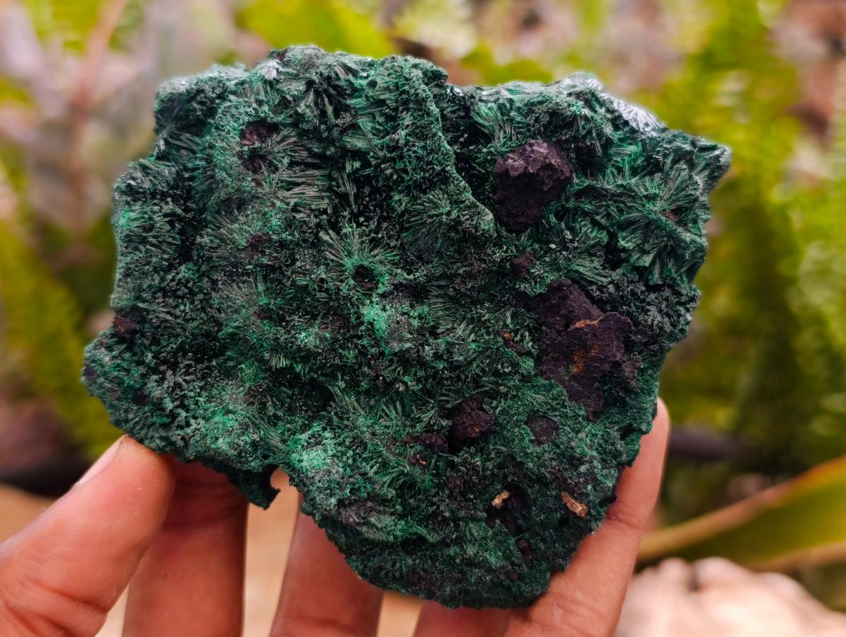 Natural Silky Malachite Specimens x 6 From Kasompe, Congo