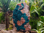 Natural Large Dioptase on Peach Dolomite Specimen x 1 From Tantara, Congo - Toprock Gemstones and Minerals 