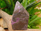 Polished Stichtite Display Crystals x 2 From Barberton, South Africa - Toprock Gemstones and Minerals 