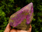 Polished Stichtite Display Crystals x 2 From Barberton, South Africa - Toprock Gemstones and Minerals 