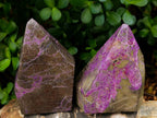 Polished Stichtite Display Crystals x 2 From Barberton, South Africa - Toprock Gemstones and Minerals 