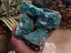 Natural Dark Green Swazi Jade Cobbed Specimens x 12 From Swaziland - Toprock Gemstones and Minerals 