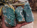 Natural Dark Green Swazi Jade Cobbed Specimens x 12 From Swaziland - Toprock Gemstones and Minerals 