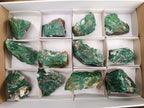 Natural Dark Green Swazi Jade Cobbed Specimens x 12 From Swaziland - Toprock Gemstones and Minerals 