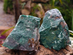 Natural Dark Green Swazi Jade Cobbed Specimens x 12 From Swaziland - Toprock Gemstones and Minerals 