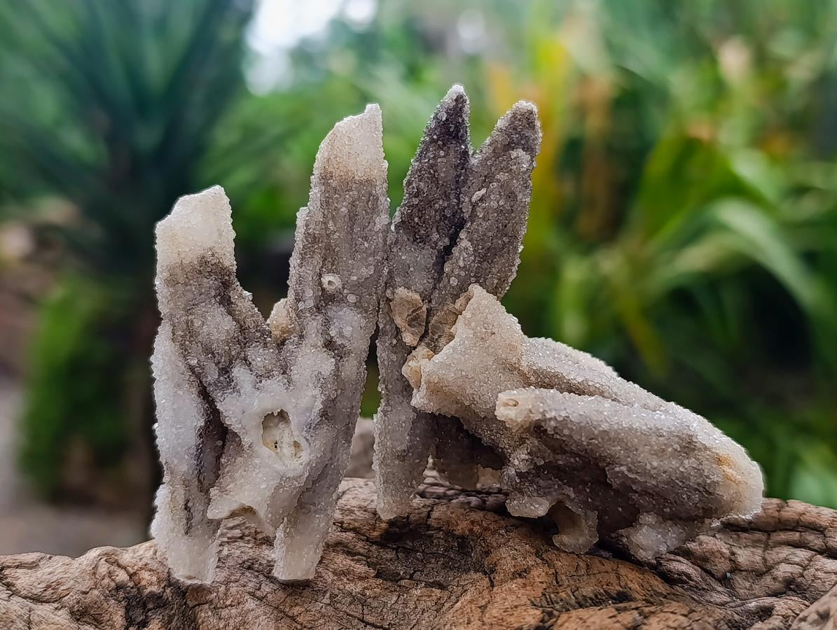 Natural Drusy Coated Calcite Pseudomorph Crystals and Clusters x 24 From Albert's Mountain, Lesotho