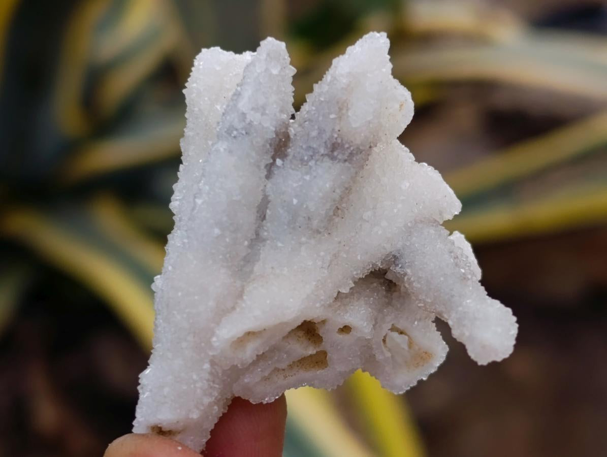 Natural Drusy Coated Calcite Pseudomorph Crystals and Clusters x 24 From Albert's Mountain, Lesotho
