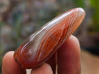 Polished Small Red Shashe River Agate Galet Free Forms x 70 From Shashe River, Zimbabwe - Toprock Gemstones and Minerals 