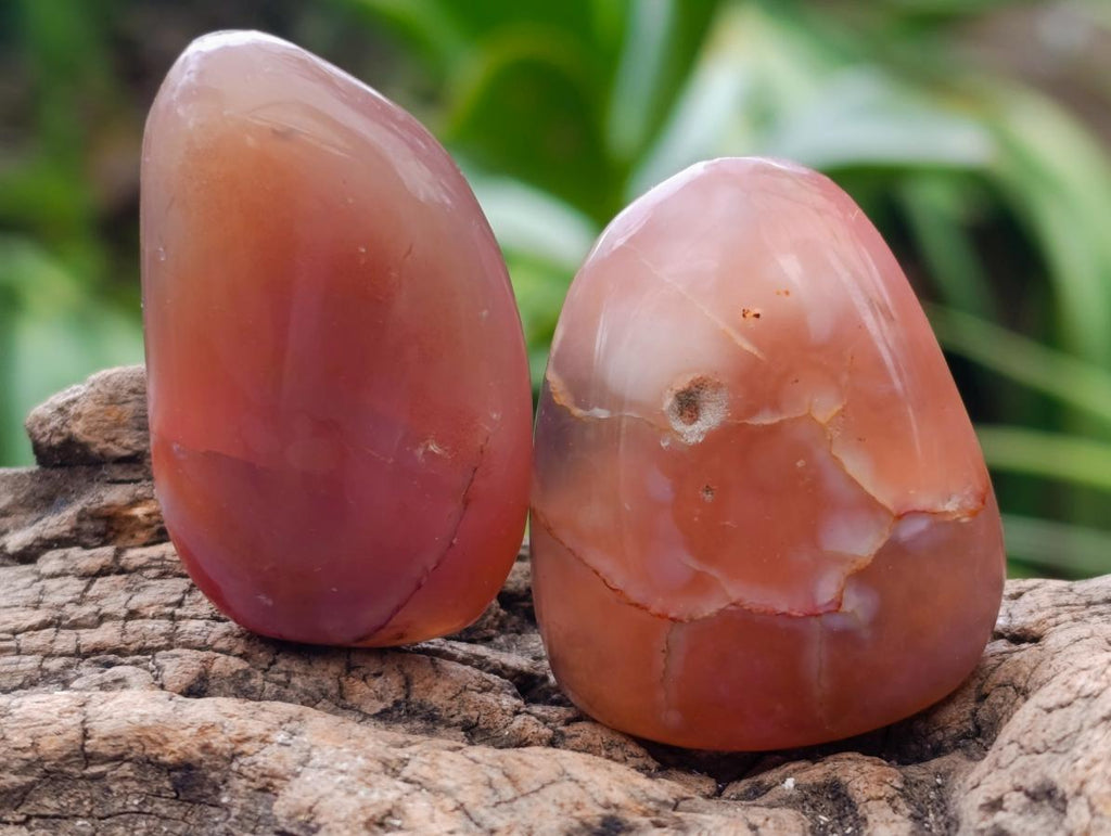 Polished Small Red Shashe River Agate Galet Free Forms x 70 From Shashe River, Zimbabwe - Toprock Gemstones and Minerals 