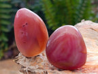 Polished Small Red Shashe River Agate Galet Free Forms x 70 From Shashe River, Zimbabwe - Toprock Gemstones and Minerals 