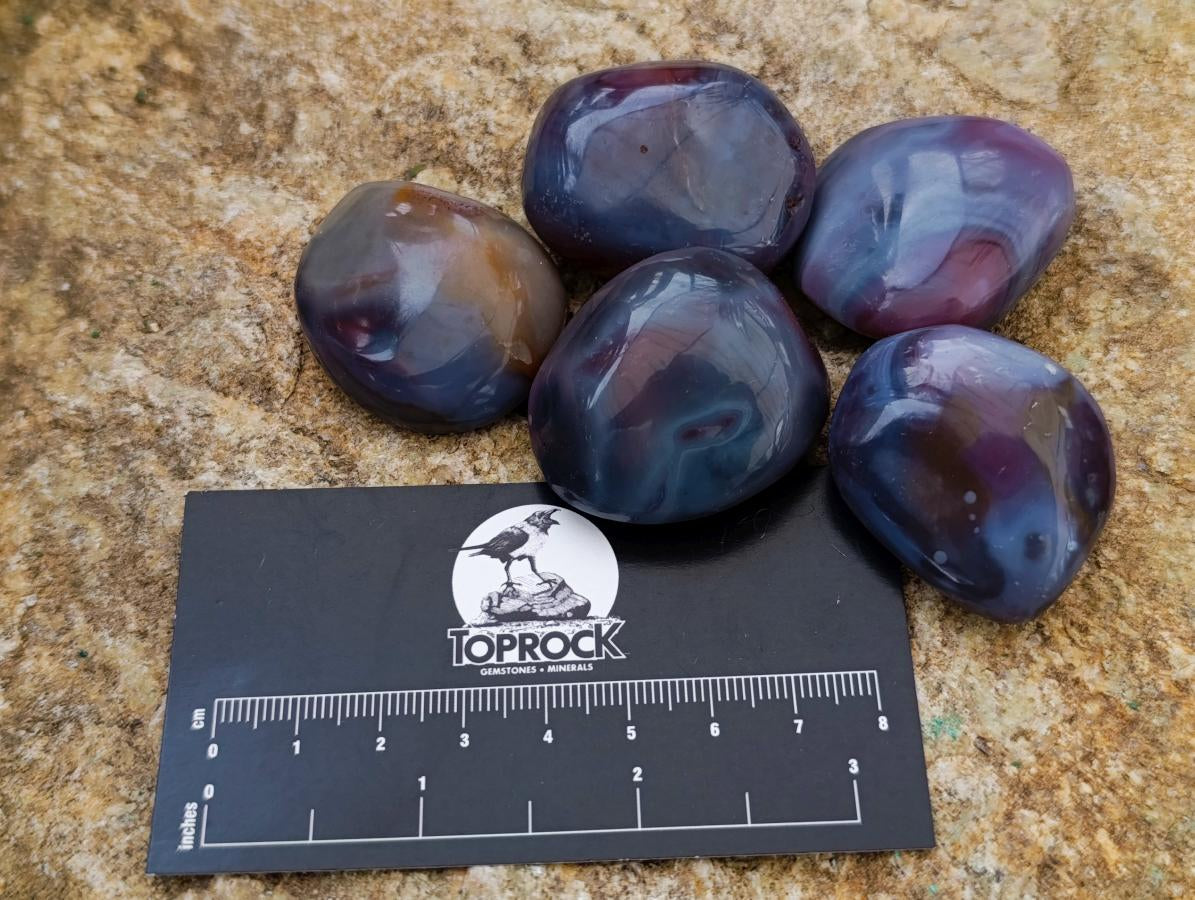 Polished Small Red Shashe River Agate Galet Free Forms x 70 From Shashe River, Zimbabwe - Toprock Gemstones and Minerals 
