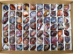 Polished Small Red Shashe River Agate Galet Free Forms x 70 From Shashe River, Zimbabwe - Toprock Gemstones and Minerals 