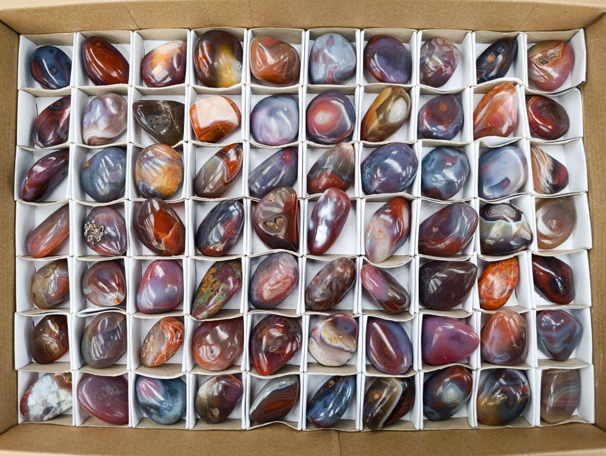 Polished Small Red Shashe River Agate Galet Free Forms x 70 From Shashe River, Zimbabwe - Toprock Gemstones and Minerals 