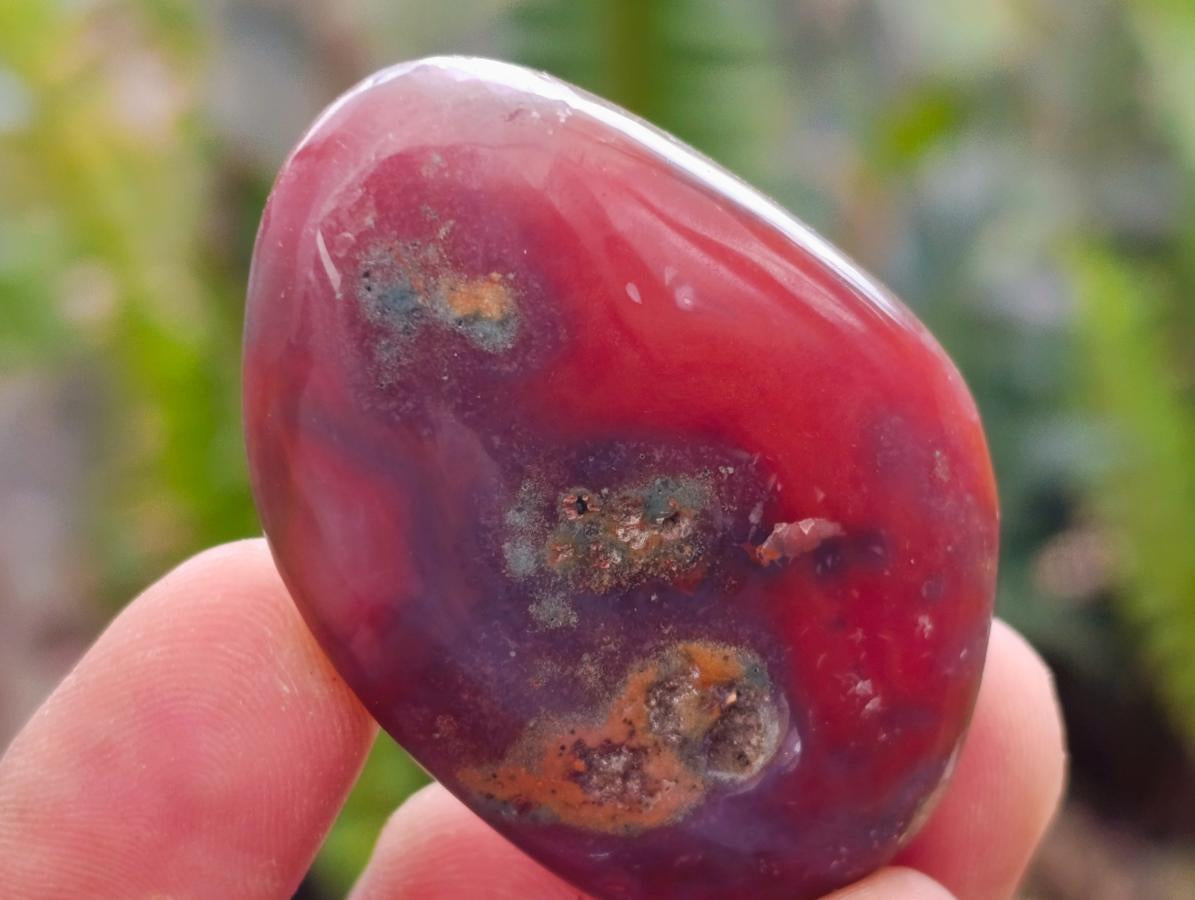 Polished Small Red Shashe River Agate Galet Free Forms x 70 From Shashe River, Zimbabwe - Toprock Gemstones and Minerals 