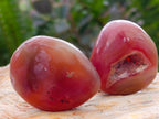 Polished Small Red Shashe River Agate Galet Free Forms x 70 From Shashe River, Zimbabwe - Toprock Gemstones and Minerals 