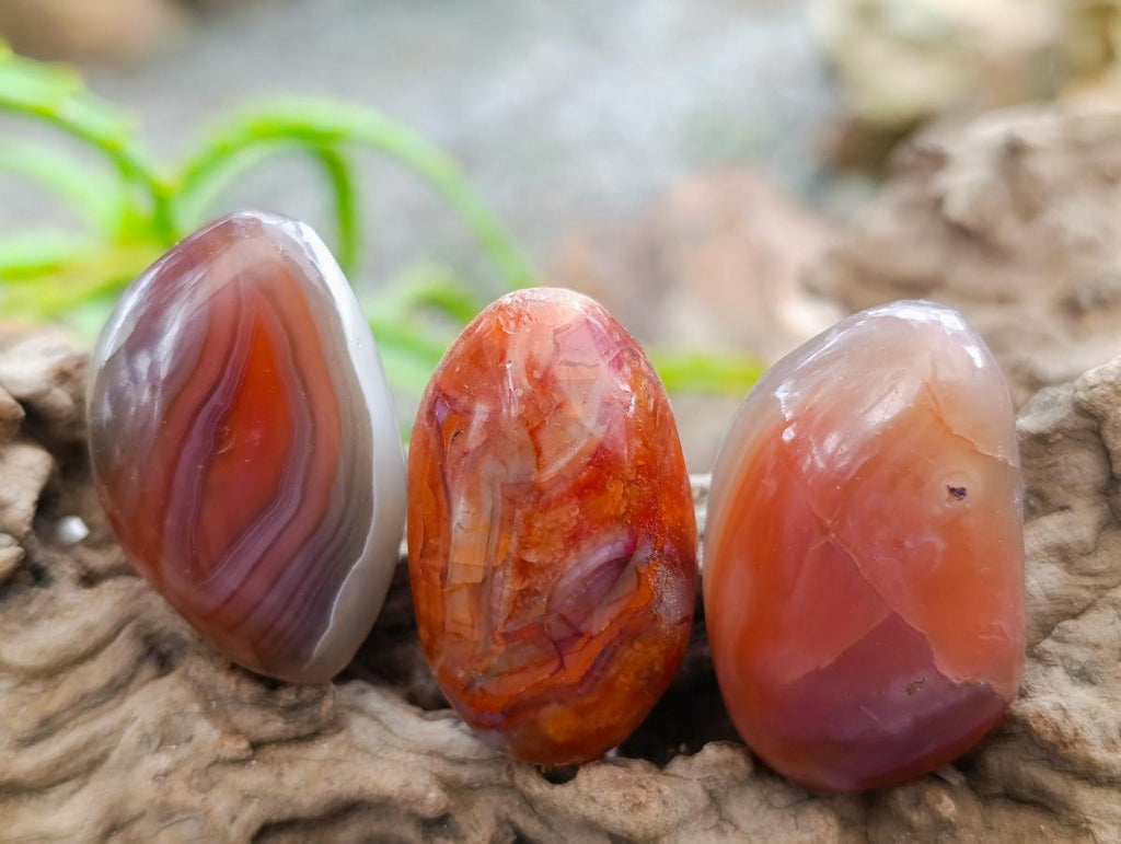 Polished Small Red Shashe River Agate Galet Free Forms x 70 From Shashe River, Zimbabwe - Toprock Gemstones and Minerals 