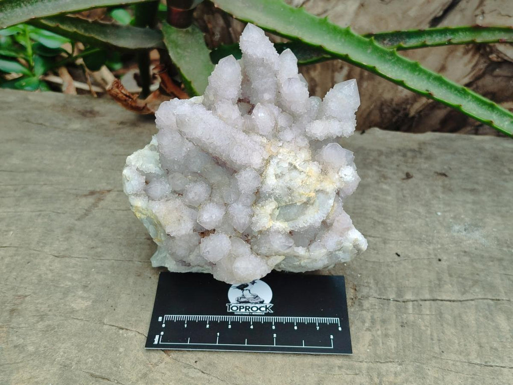 Natural Lilac Fairy Spirit Quartz Clusters x 2 From Boekenhouthoek, South Africa