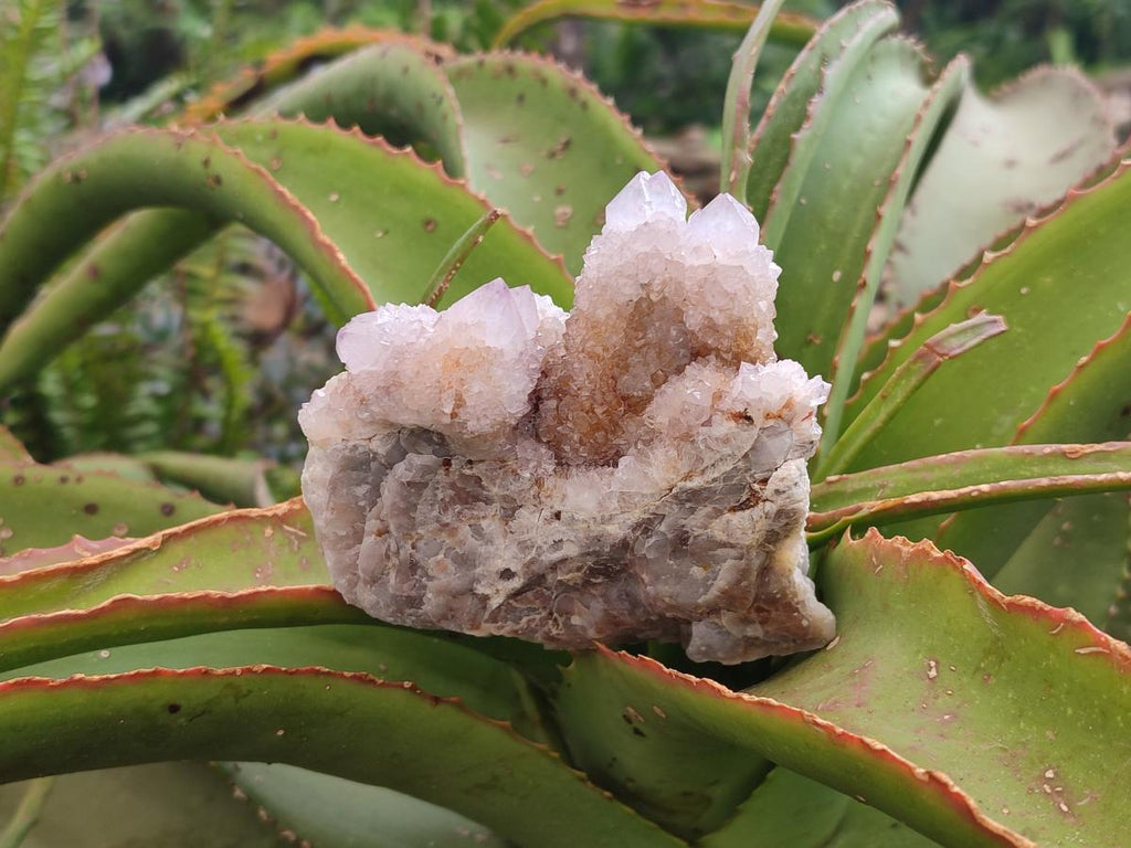 Natural Lilac Fairy Spirit Quartz Clusters x 2 From Boekenhouthoek, South Africa