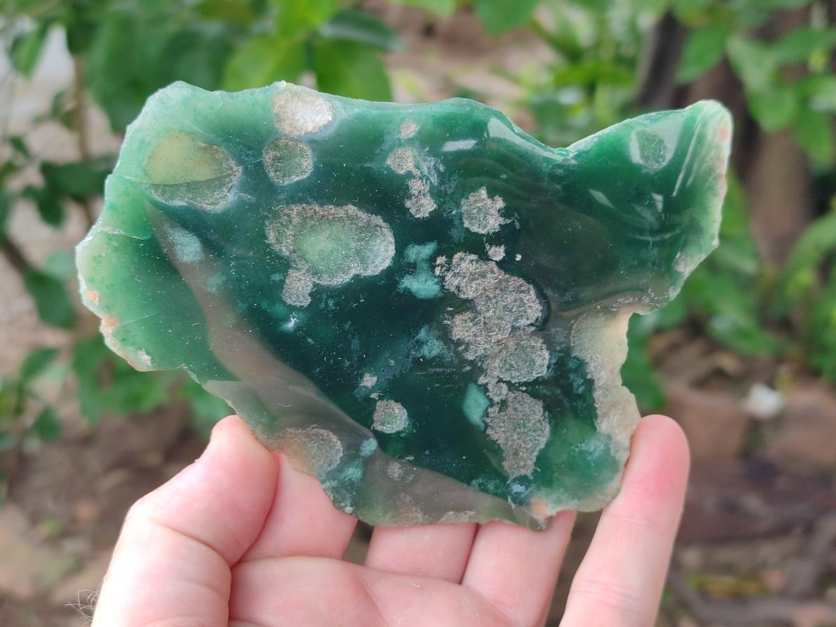 Polished Mtorolite Slices x 6 From Mutorashanga, Zimbabwe - Toprock Gemstones and Minerals 