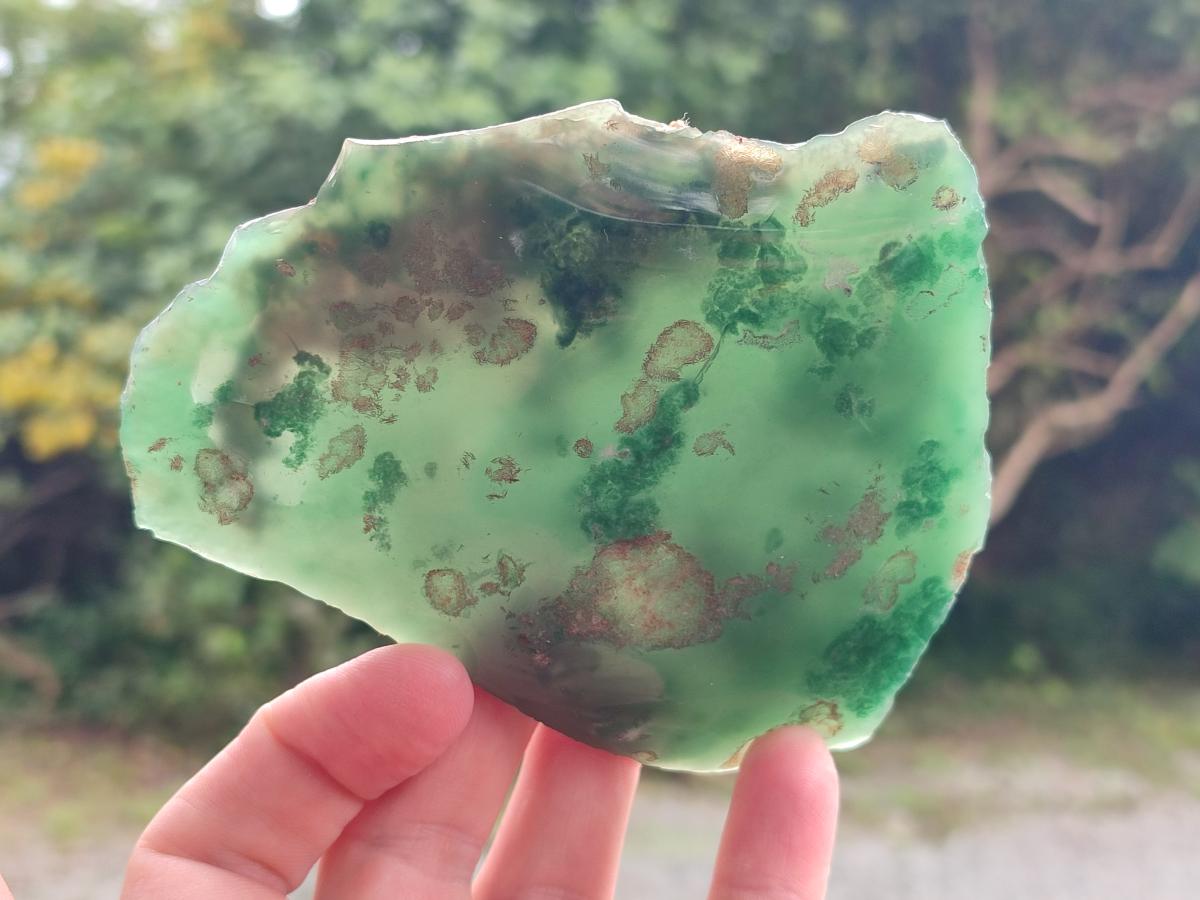 Polished Mtorolite Slices x 6 From Mutorashanga, Zimbabwe - Toprock Gemstones and Minerals 