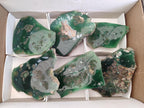 Polished Mtorolite Slices x 6 From Mutorashanga, Zimbabwe - Toprock Gemstones and Minerals 