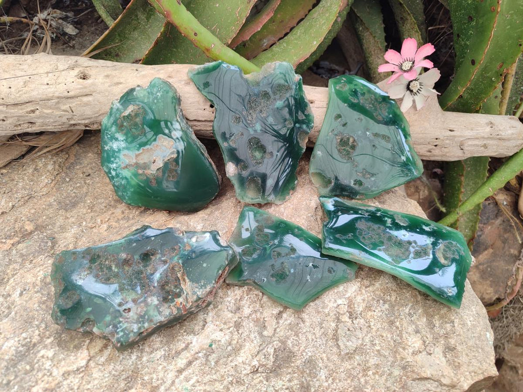 Polished Mtorolite Slices x 6 From Mutorashanga, Zimbabwe - Toprock Gemstones and Minerals 