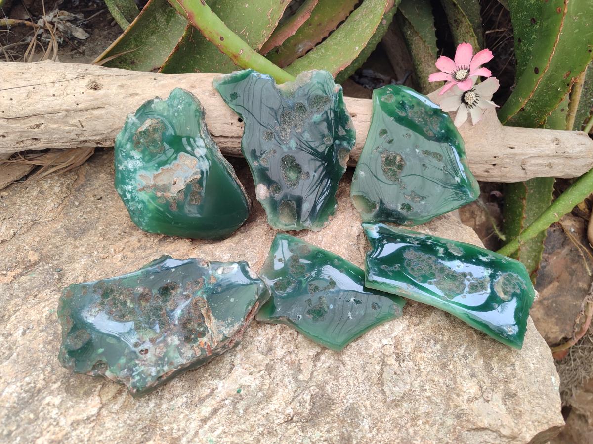Polished Mtorolite Slices x 6 From Mutorashanga, Zimbabwe - Toprock Gemstones and Minerals 