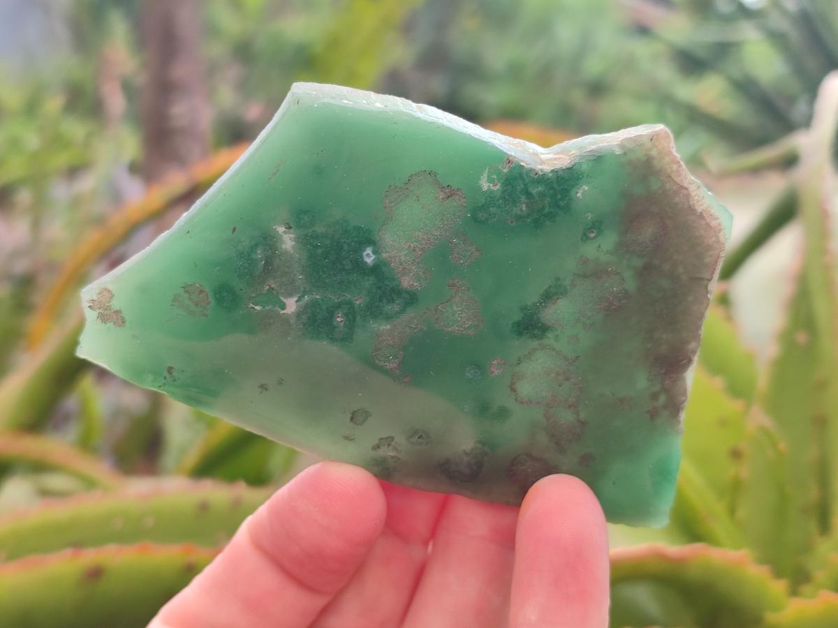 Polished Mtorolite Slices x 6 From Mutorashanga, Zimbabwe - Toprock Gemstones and Minerals 