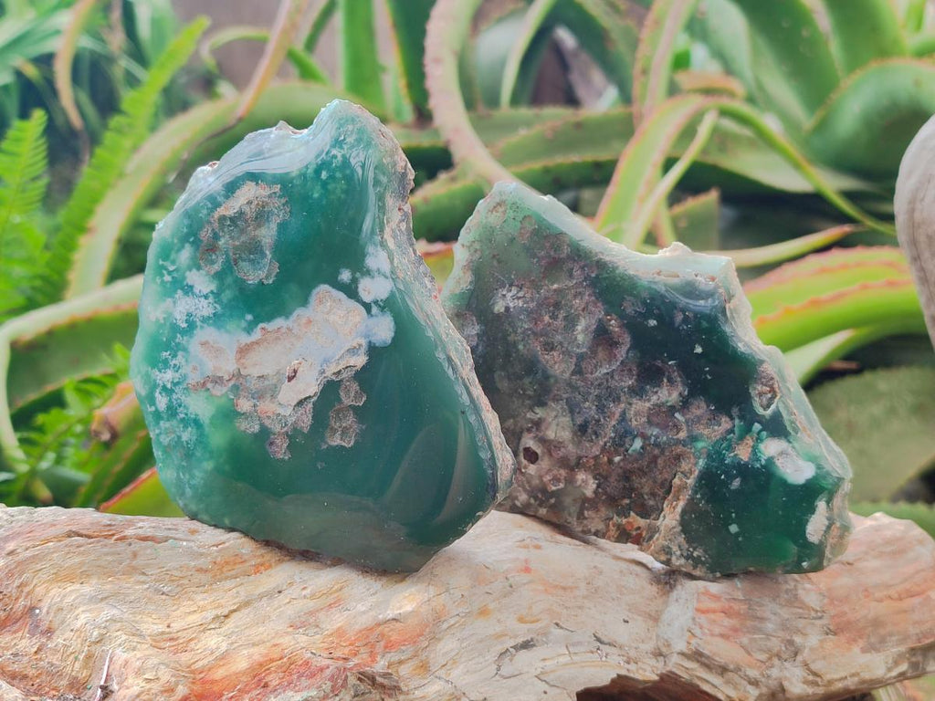 Polished Mtorolite Slices x 6 From Mutorashanga, Zimbabwe - Toprock Gemstones and Minerals 