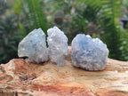 Natural Blue Mini Celestite Cluster Specimens x 35 From Sakoany, Madagascar