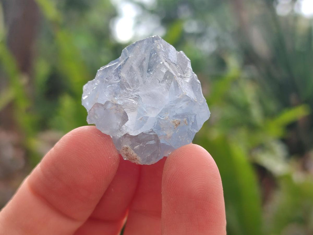 Natural Blue Mini Celestite Cluster Specimens x 35 From Sakoany, Madagascar