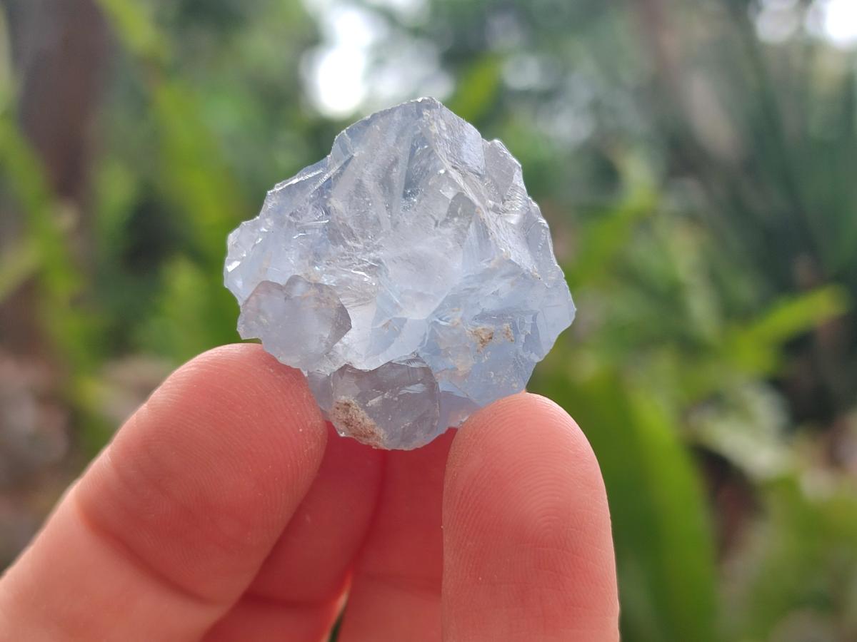 Natural Blue Mini Celestite Cluster Specimens x 35 From Sakoany, Madagascar