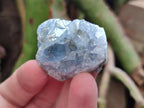 Natural Blue Mini Celestite Cluster Specimens x 35 From Sakoany, Madagascar
