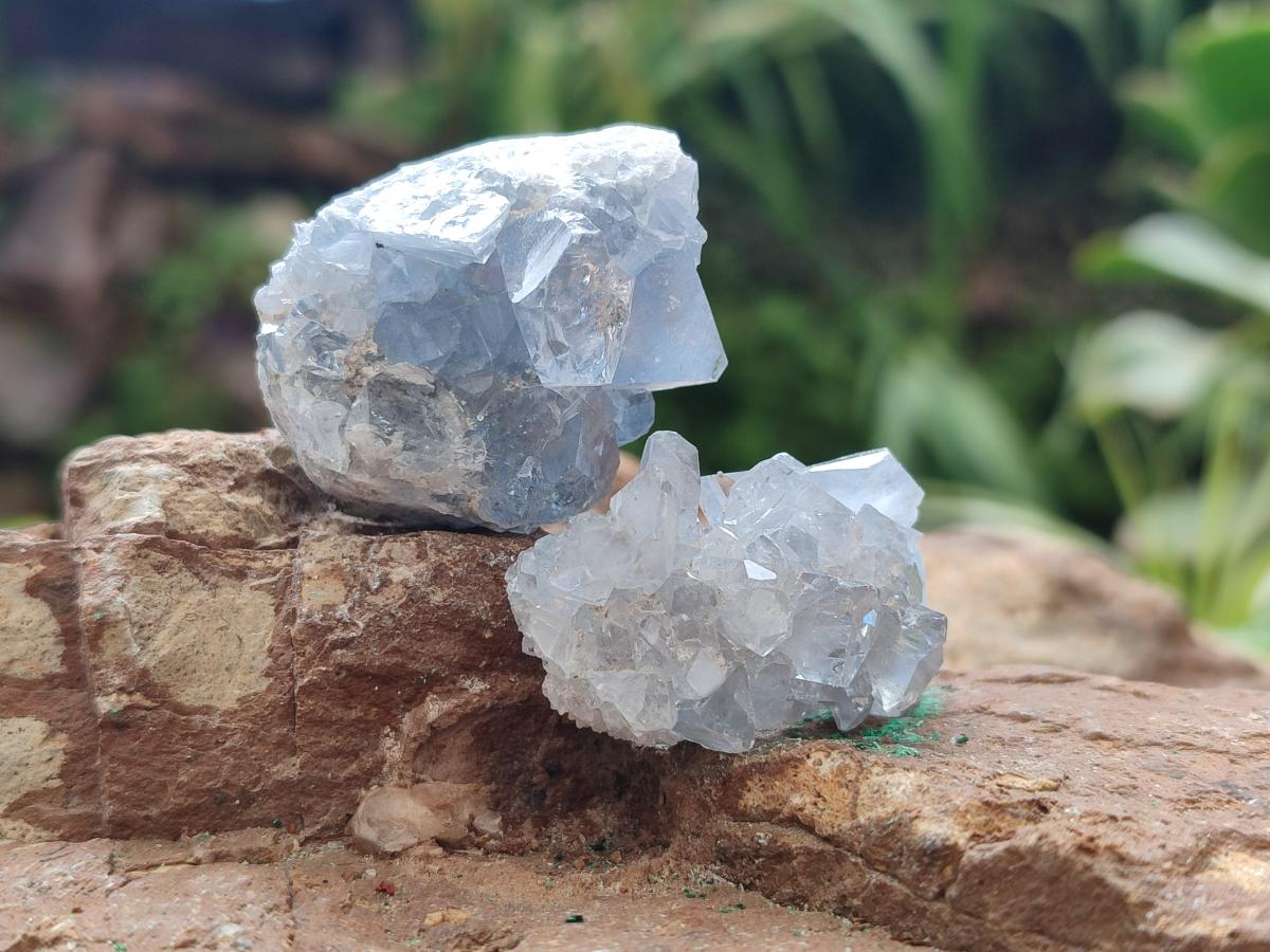 Natural Blue Mini Celestite Cluster Specimens x 35 From Sakoany, Madagascar