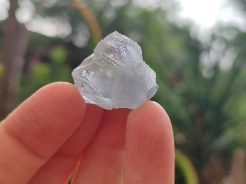 Natural Blue Mini Celestite Cluster Specimens x 35 From Sakoany, Madagascar