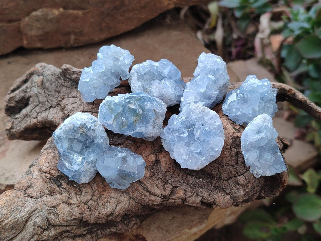 Natural Blue Mini Celestite Cluster Specimens x 35 From Sakoany, Madagascar