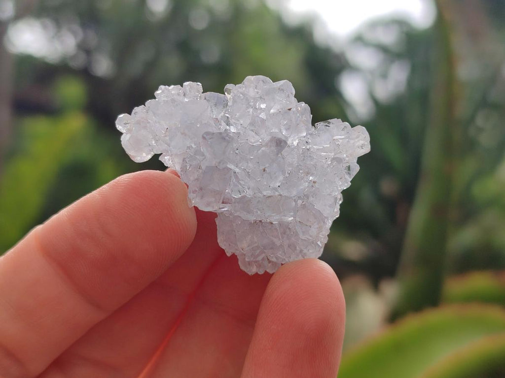 Natural Blue Mini Celestite Cluster Specimens x 35 From Sakoany, Madagascar