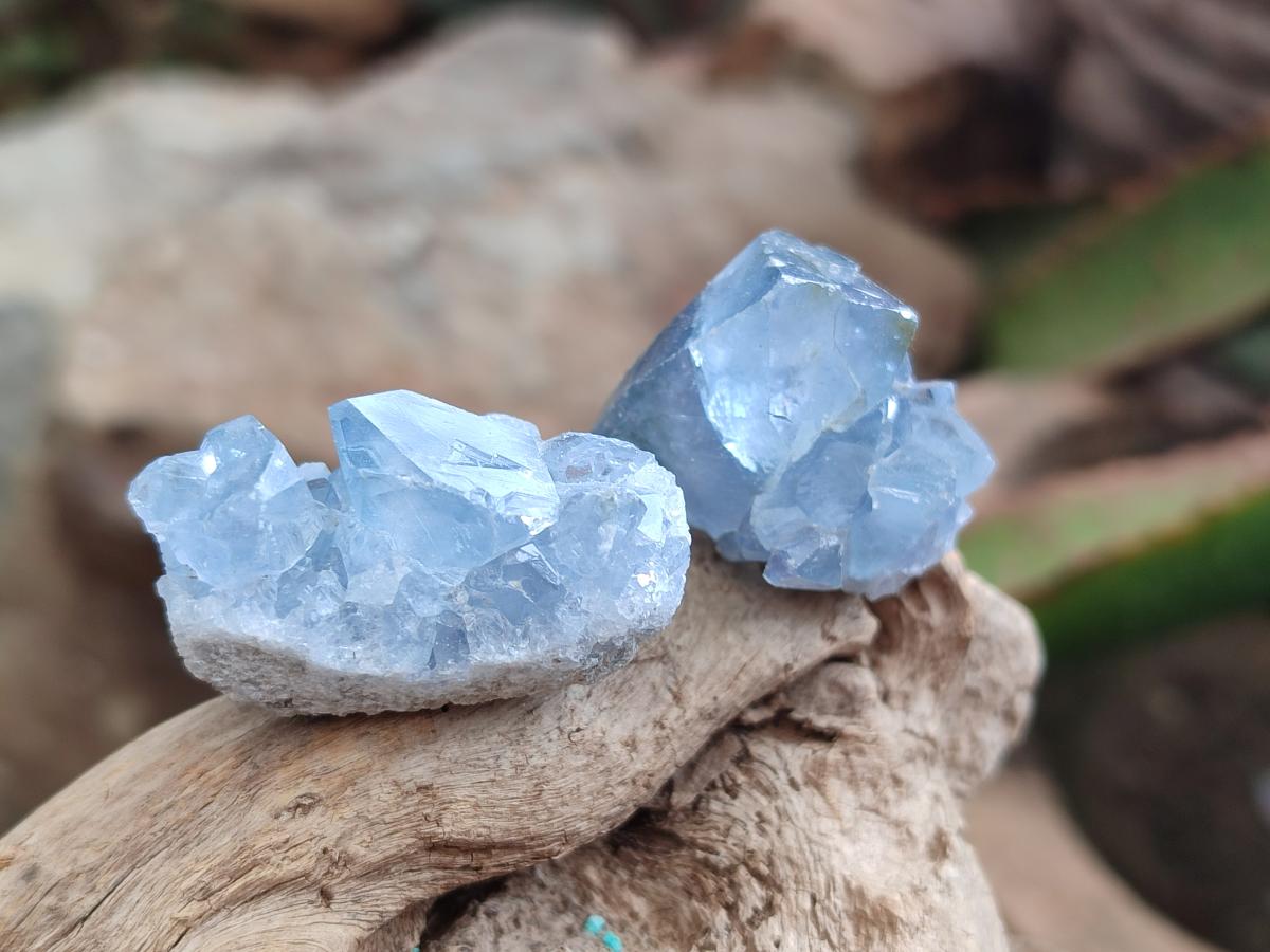 Natural Blue Mini Celestite Cluster Specimens x 35 From Sakoany, Madagascar