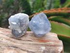 Natural Blue Mini Celestite Cluster Specimens x 35 From Sakoany, Madagascar