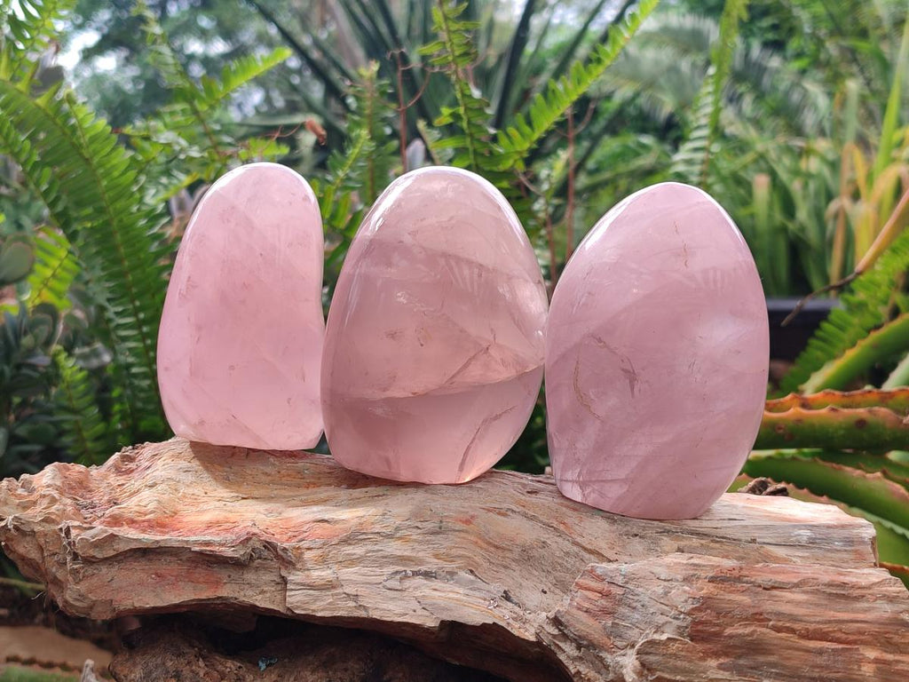 Polished Gemmy Star Rose Quartz Standing Free Forms x 4 From Madagascar - Toprock Gemstones and Minerals 