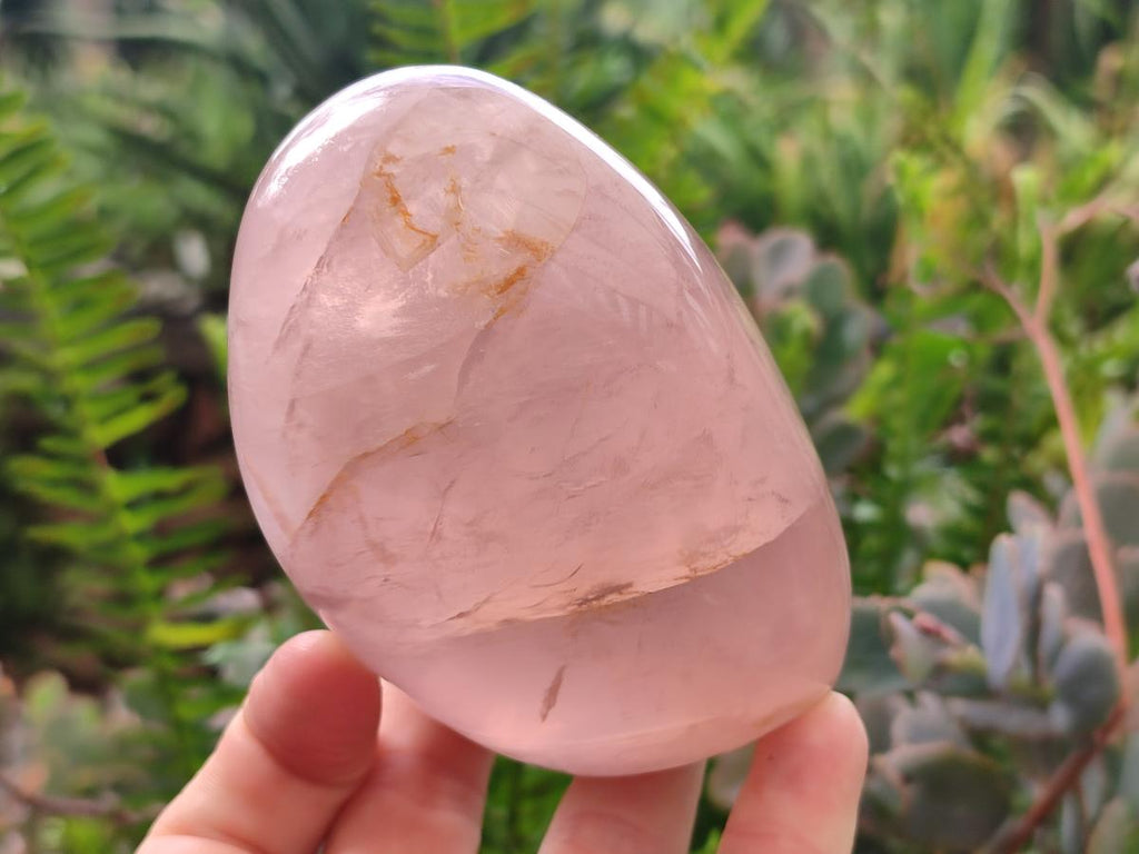 Polished Gemmy Star Rose Quartz Standing Free Forms x 4 From Madagascar - Toprock Gemstones and Minerals 