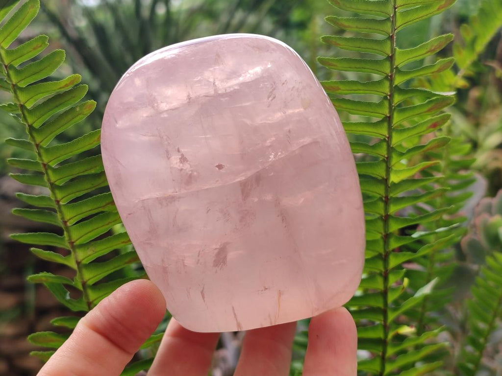 Polished Gemmy Star Rose Quartz Standing Free Forms x 4 From Madagascar - Toprock Gemstones and Minerals 