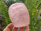 Polished Gemmy Star Rose Quartz Standing Free Forms x 4 From Madagascar - Toprock Gemstones and Minerals 