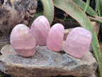 Polished Gemmy Star Rose Quartz Standing Free Forms x 4 From Madagascar - Toprock Gemstones and Minerals 