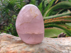Polished Gemmy Star Rose Quartz Standing Free Forms x 4 From Madagascar - Toprock Gemstones and Minerals 
