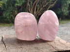 Polished Gemmy Star Rose Quartz Standing Free Forms x 4 From Madagascar - Toprock Gemstones and Minerals 