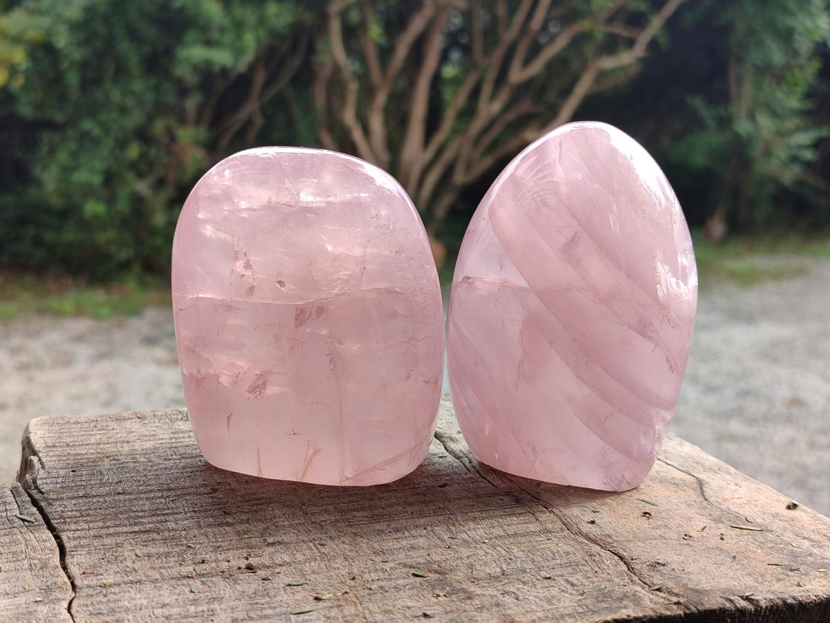 Polished Gemmy Star Rose Quartz Standing Free Forms x 4 From Madagascar - Toprock Gemstones and Minerals 