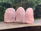 Polished Gemmy Star Rose Quartz Standing Free Forms x 4 From Madagascar - Toprock Gemstones and Minerals 